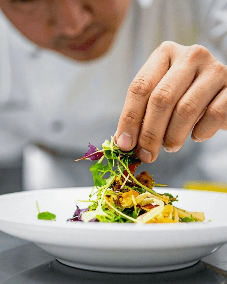 Gastronomi ve Mutfak Sanatları